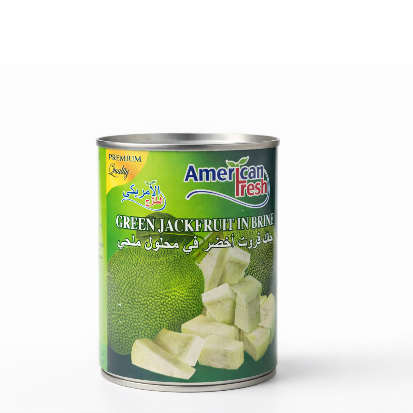 AMERICAN FRESH GREEN JACKFRUIT IN BRINE 565GM
